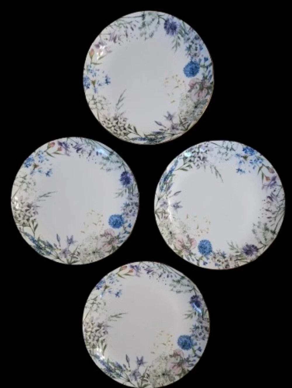 *NWOT Williams Sonoma Floral Meadow Wreath Salad Plates Set Of 4